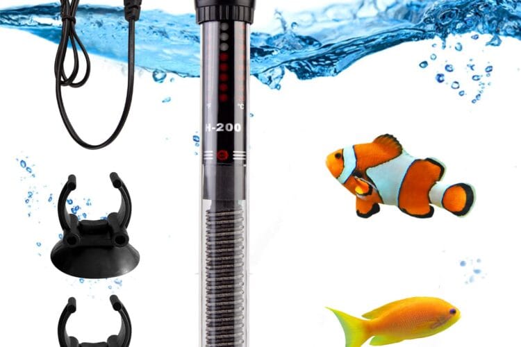 Top 5 des meilleurs chauffages pour aquarium en 2025 : comparatif et guide d&rsquo;achat