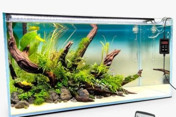 Top 5 des meilleures lampes LED pour un aquarium en 2025