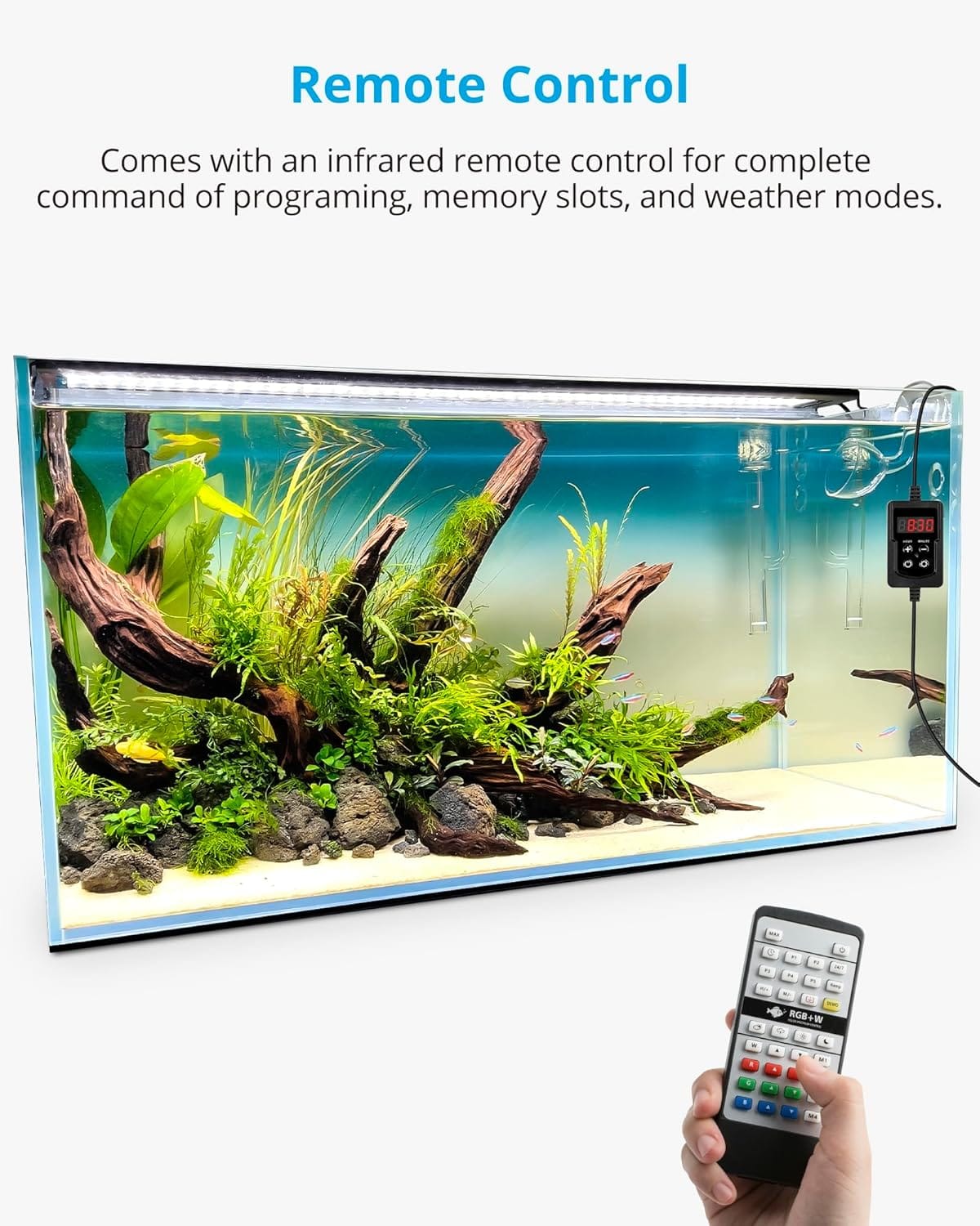 Top 5 des meilleures lampes LED pour un nano aquarium en 2025