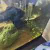 Donne poissons sur le Médoc